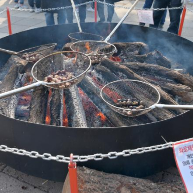 제8회 겨울공주 군밤축제