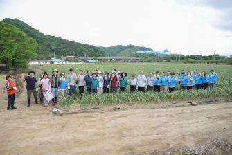 2025년 5월 15일 농촌일손돕기-정안면 [정안면] 이미지