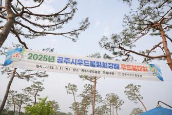 2025년 5월 31일 제24회 우드볼협회장배 우드볼대회 [공주시 우드볼 경기장] 이미지