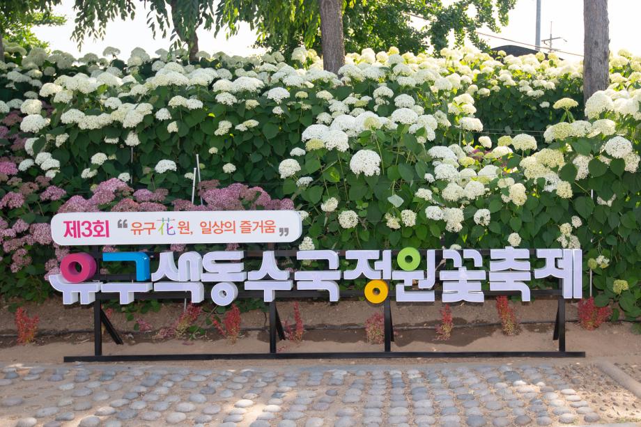 공주 유구색동수국정원 꽃 축제
